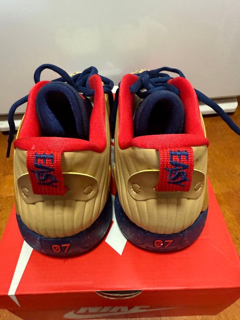 シューズ(男性用) NIKE KD15