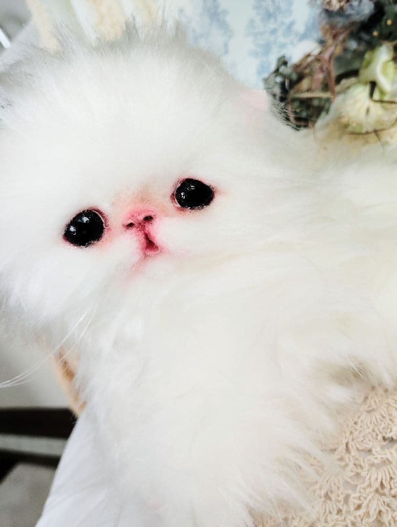 子猫♡寝起きのシロップちゃん♡アートドール♡ぬいぐるみ♡