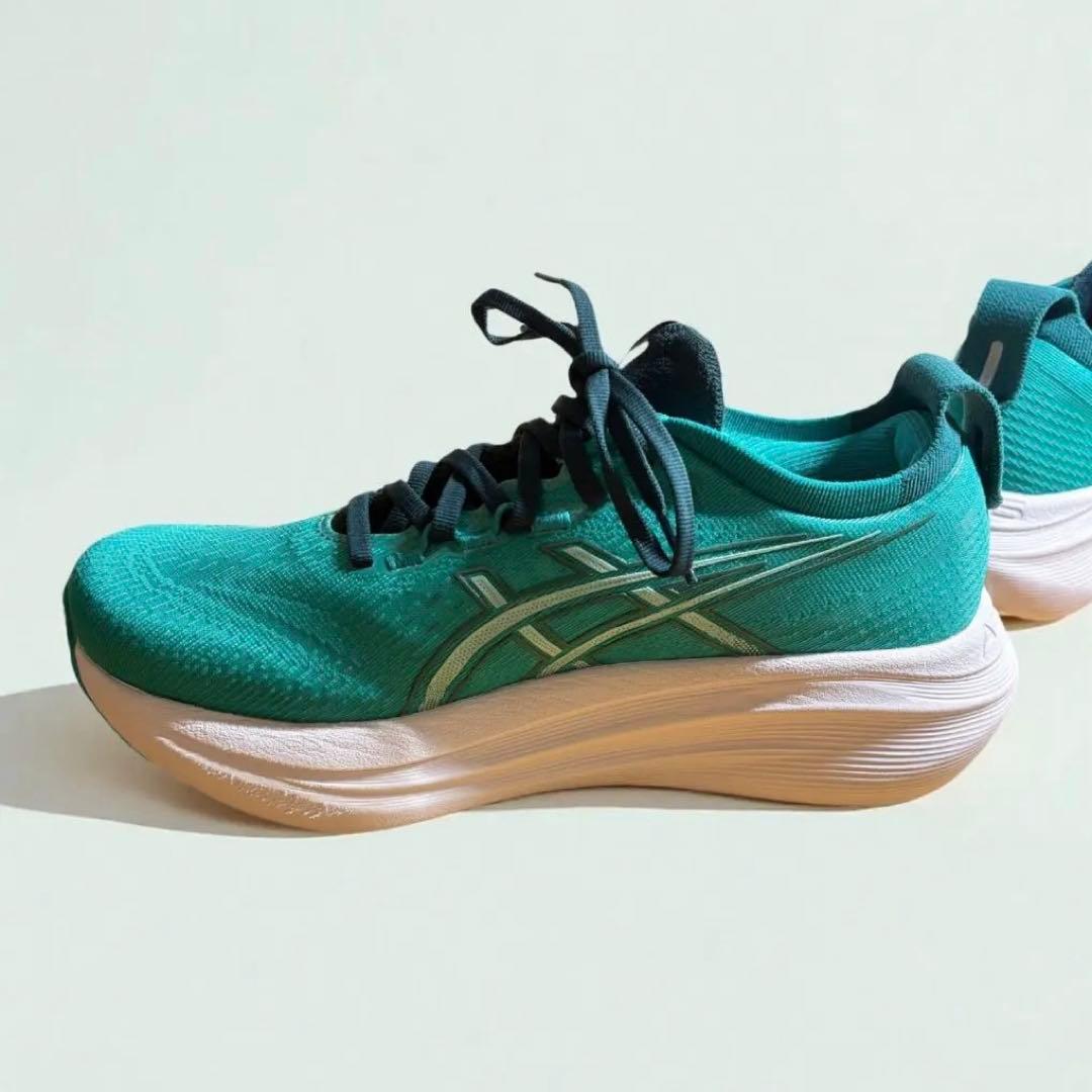 【極美品】ASICS ゲルニンバス27 GEL-NIMBUS 25cm ⚠️状態良