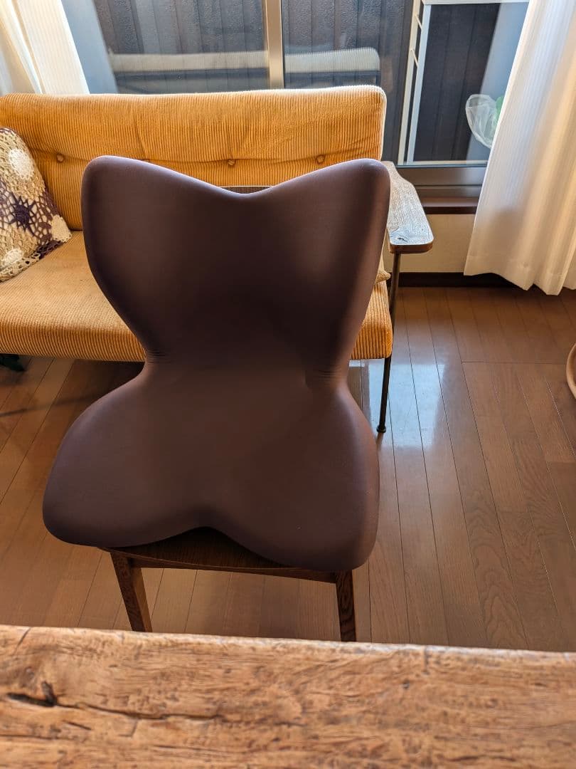 スタイルプレミアム　骨盤・姿勢矯正クッション ブラウン