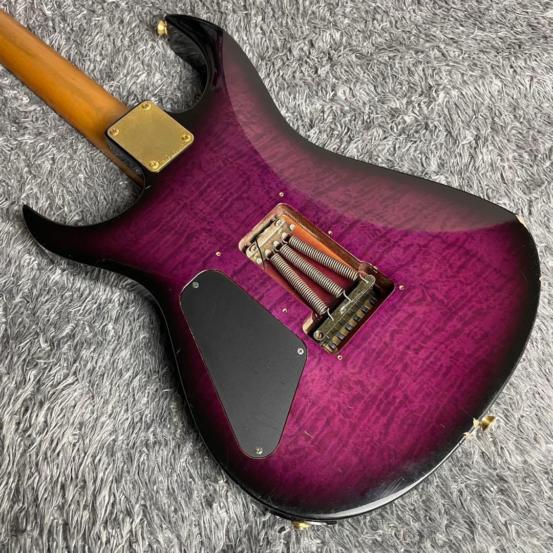 ギター Fernandes FGZ-550