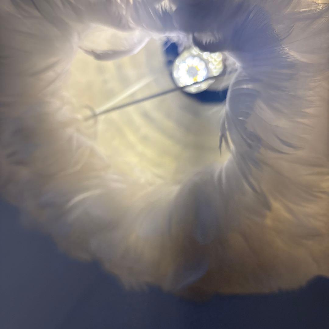 UMAGE ガチョウ羽毛ペンダントライトVITA 