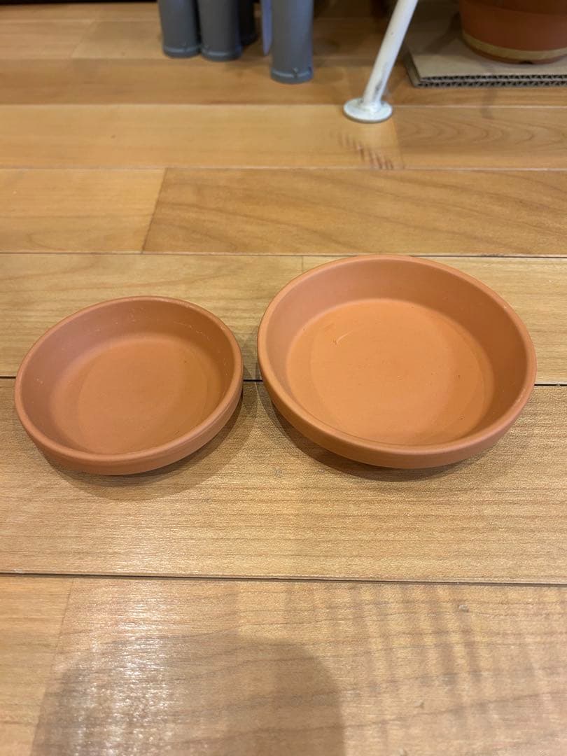 kanaria store✩プロフ必読 専用爬虫類ウェットシェルター