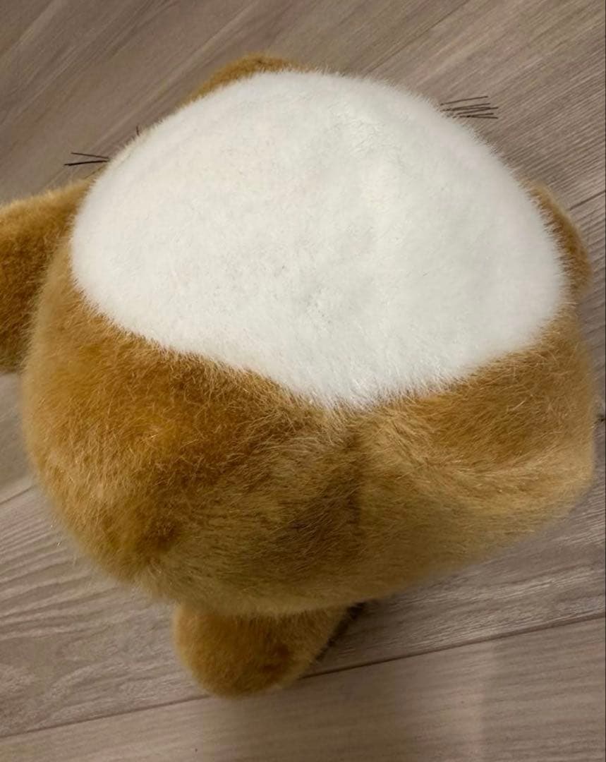 となりのトトロ　ぬいぐるみ　M　ジブリ大博覧会　会場限定リジナル ベージュ