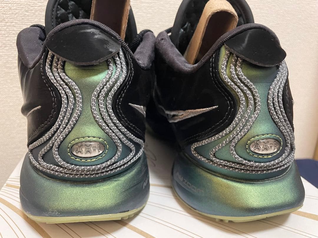 Nike レブロン 21 EP FB2236-001 タイタン