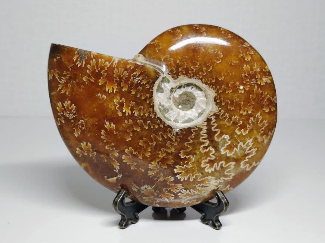 アンモナイト 383g アンモライト オパール 原石 鑑賞石 自然石 誕生石