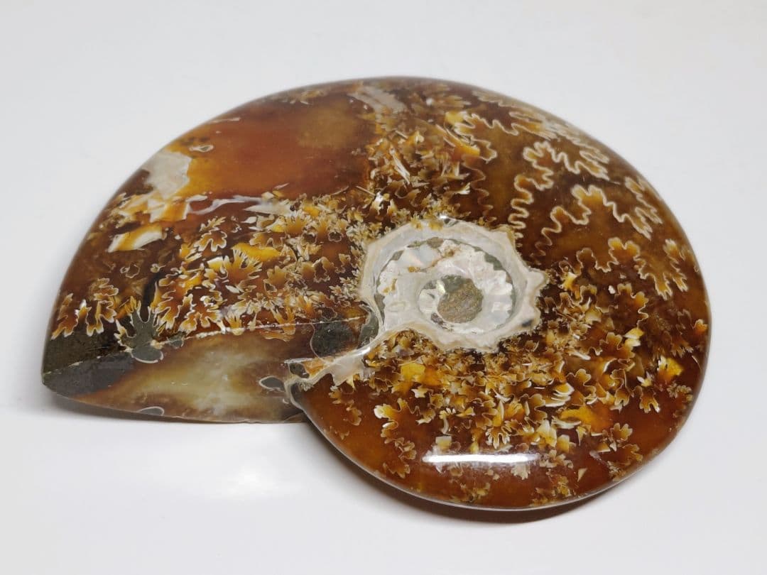 アンモナイト 383g アンモライト オパール 原石 鑑賞石 自然石 誕生石