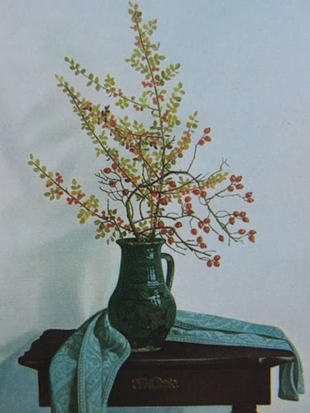 マーチョイ、秋の静物、希少画集画、新品額装付