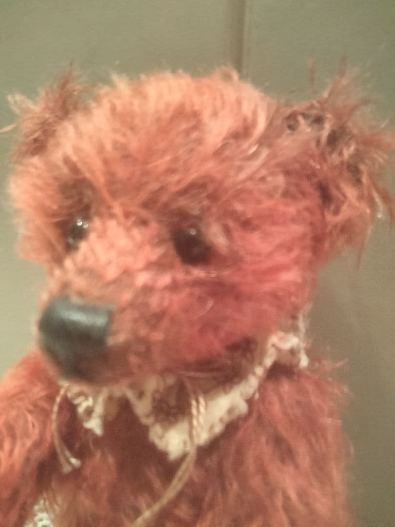 sharon barron teddy bear アメリカ有名作シャロンバロン