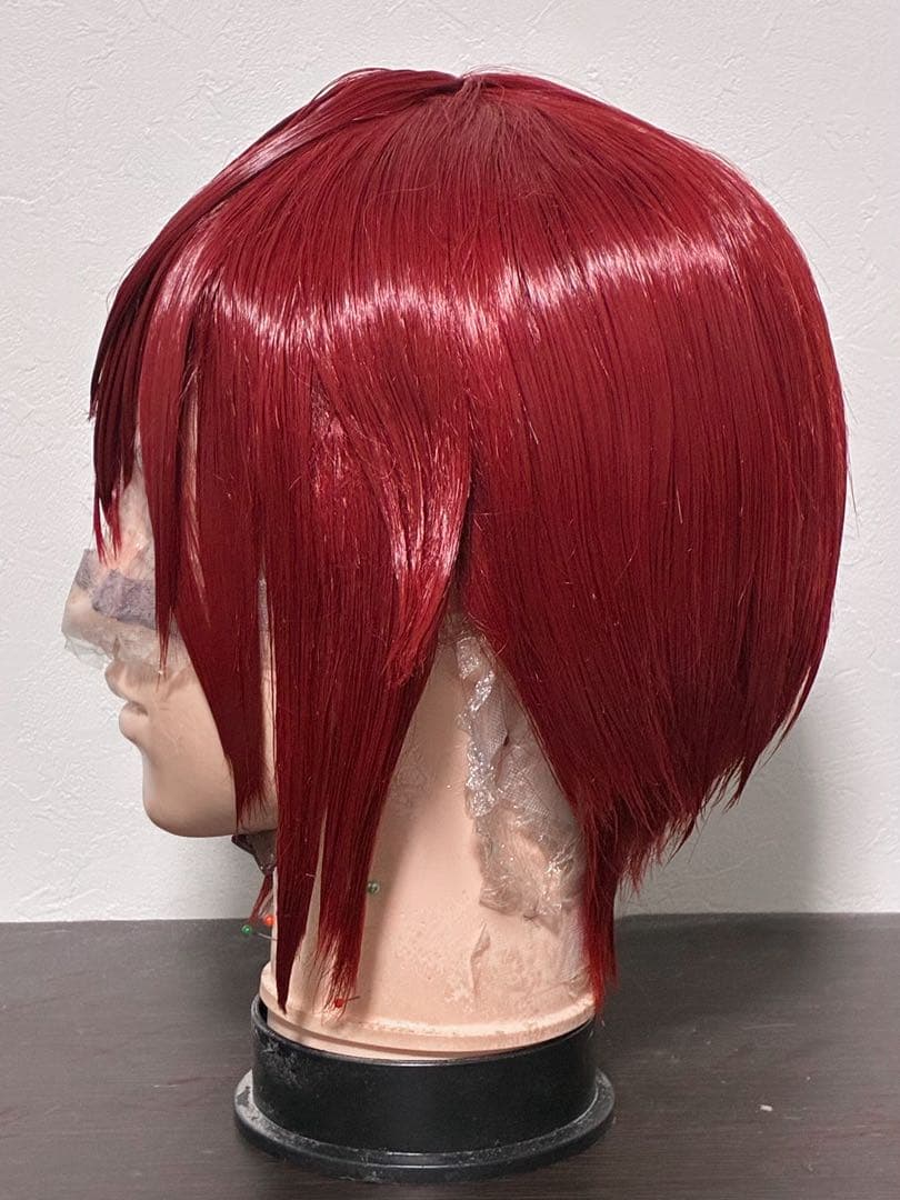 【最終値下げ2/16まで】ツイステ リドル セット済み ウィッグ コスプレ