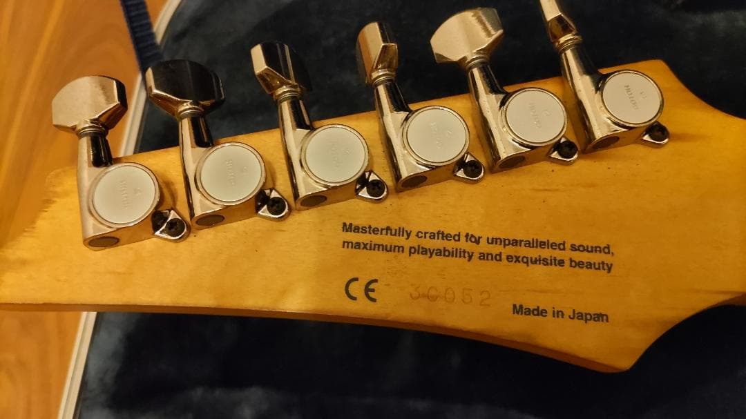 Ann　Ibanez RG8670 VV J-CUSTOM