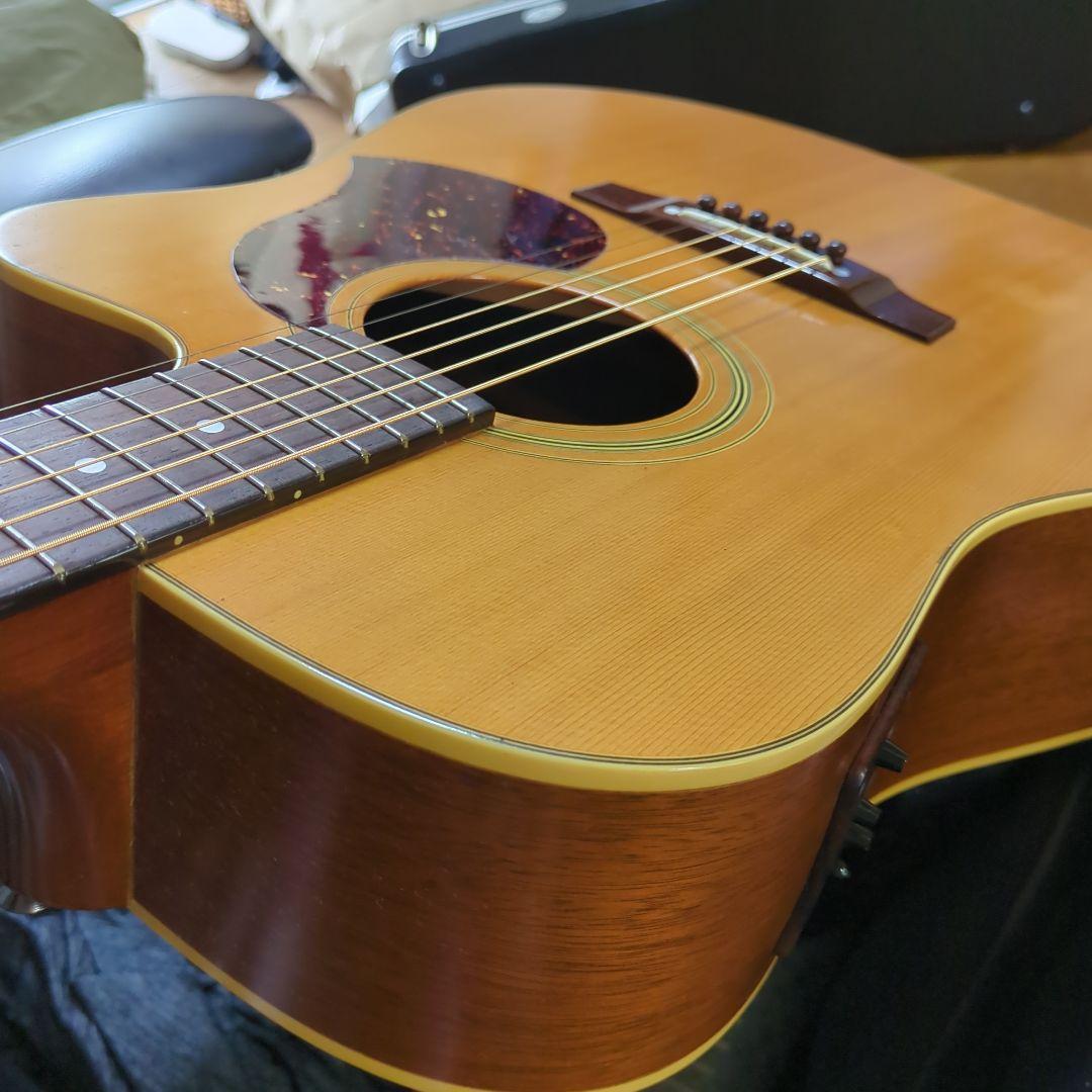 Maton エレアコ. 希少ビンテージ、トレッドノート